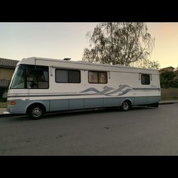 1994 National Dolphin