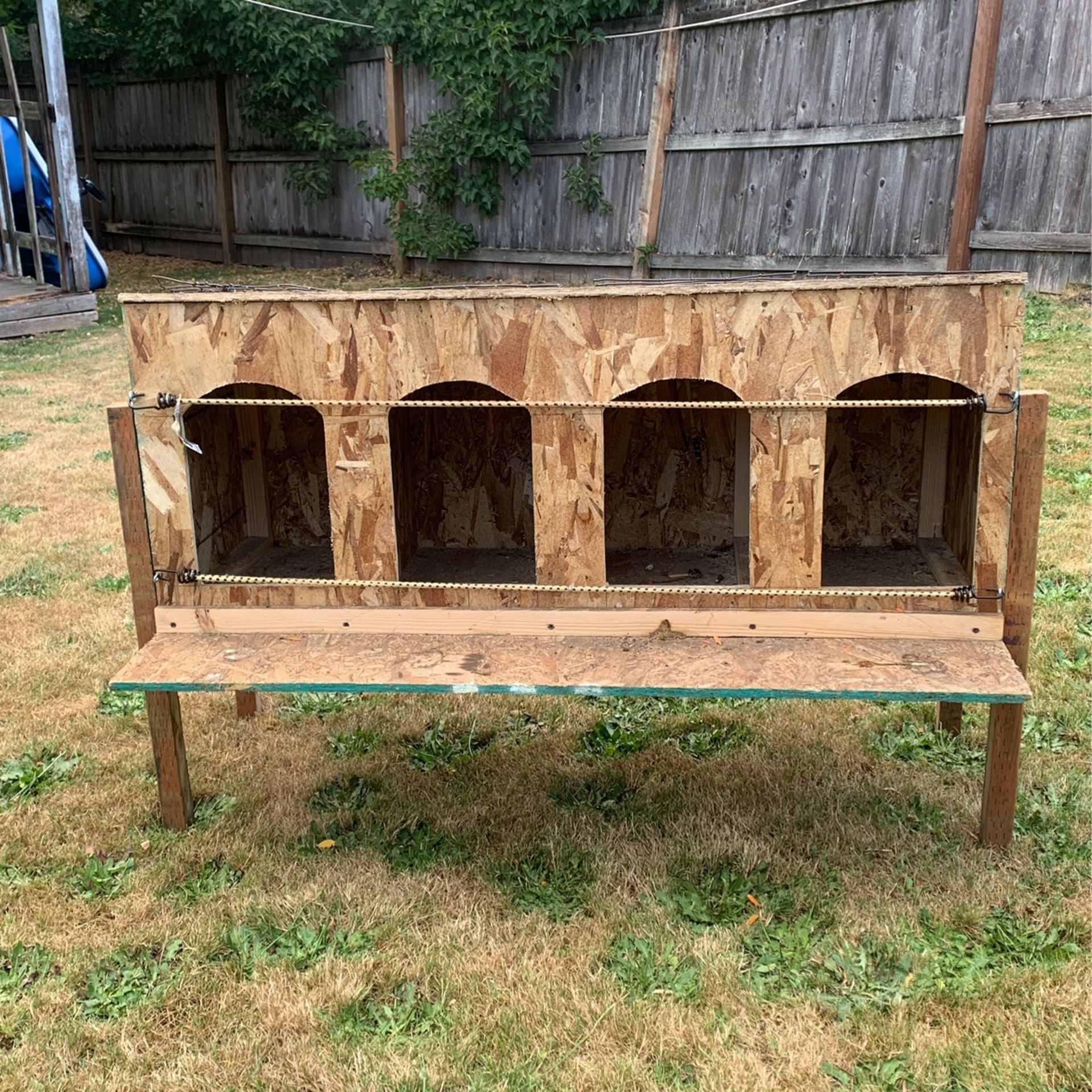 Chicken Cage