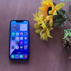 iPhone 13 Mini