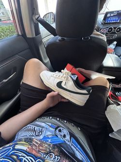 Nike Dunks Jungles