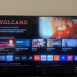 Vizio 55in TV