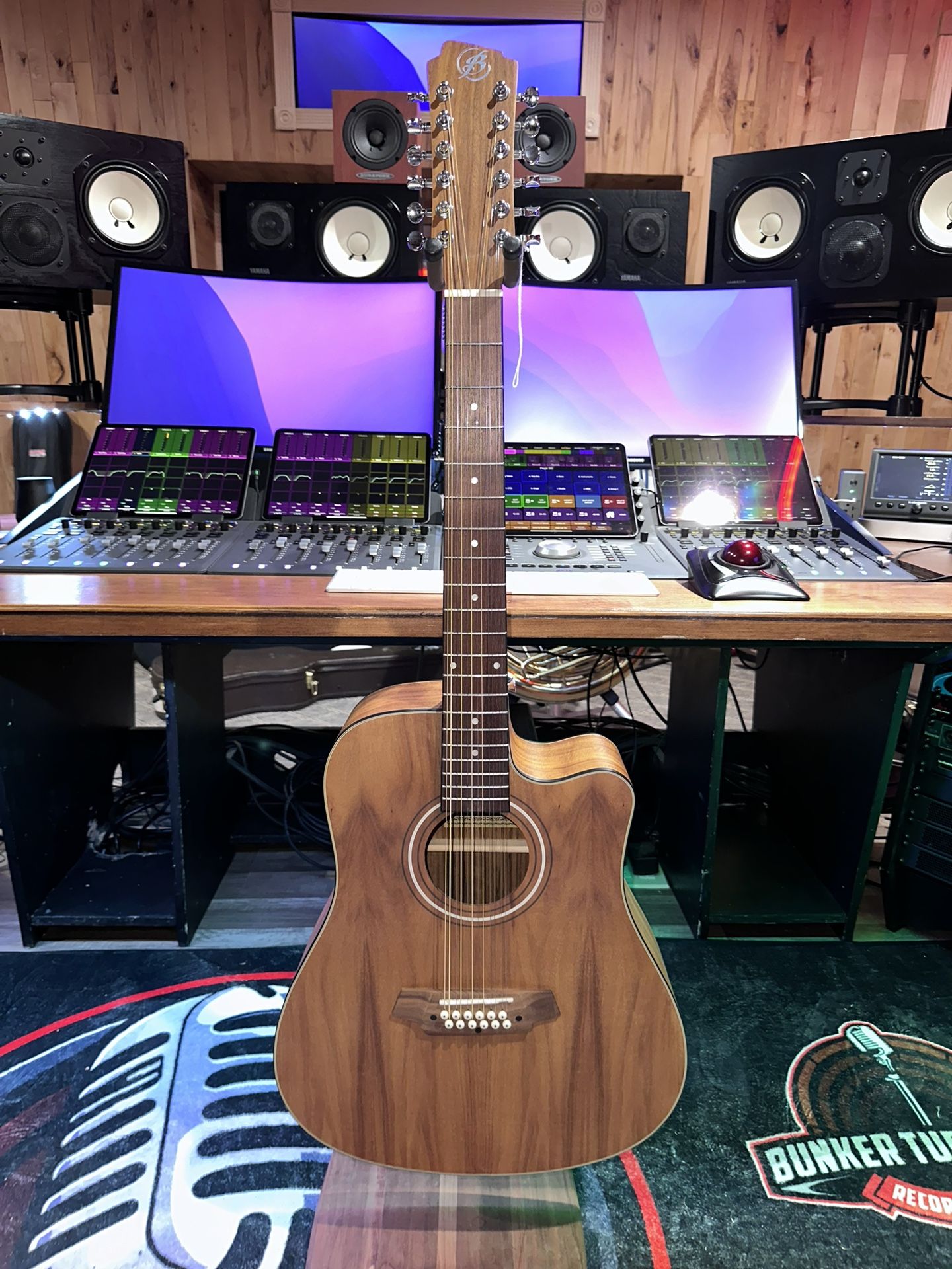 Bamboo 12 String Guitar 