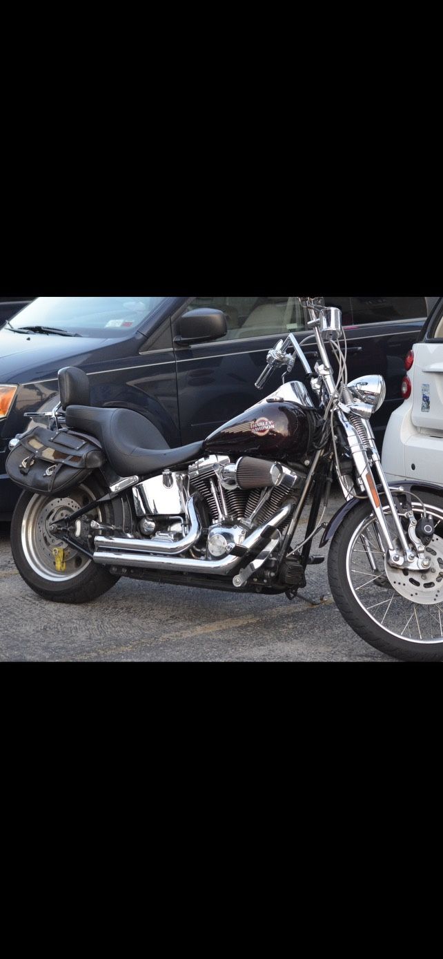 2006 Harley Davidson Springer soft tail