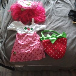 Rubies small Halloween costume- Strawberry Shortcake