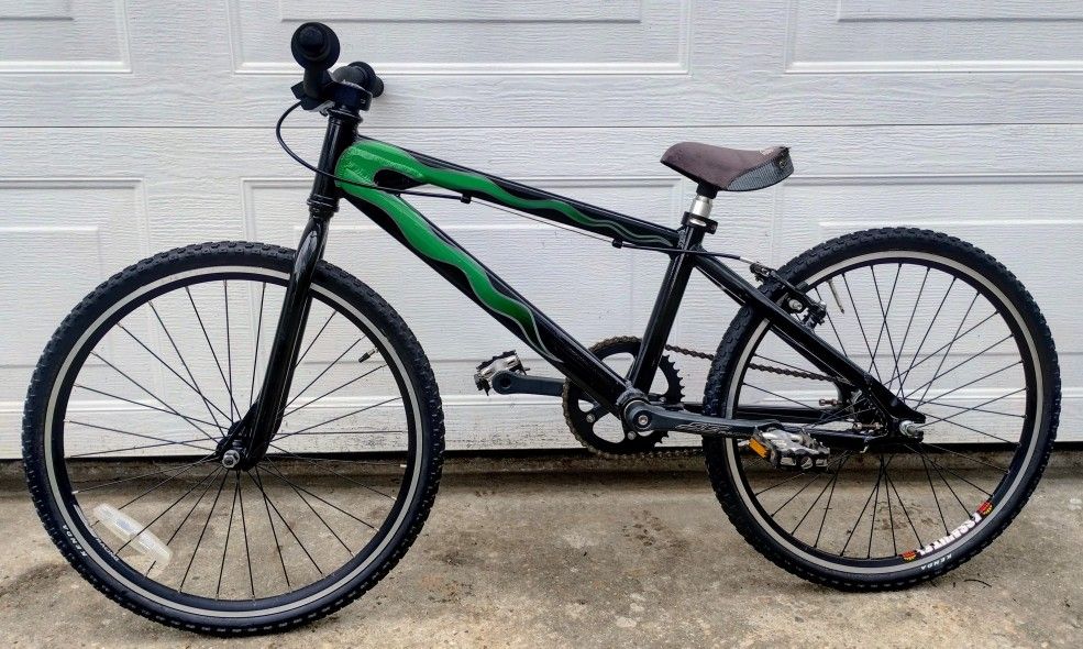 (YES IT'S STILL AVAILABLE) 20" SE Mini Ripper BMX Race Bike