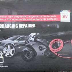 Intelligent Battery Charger