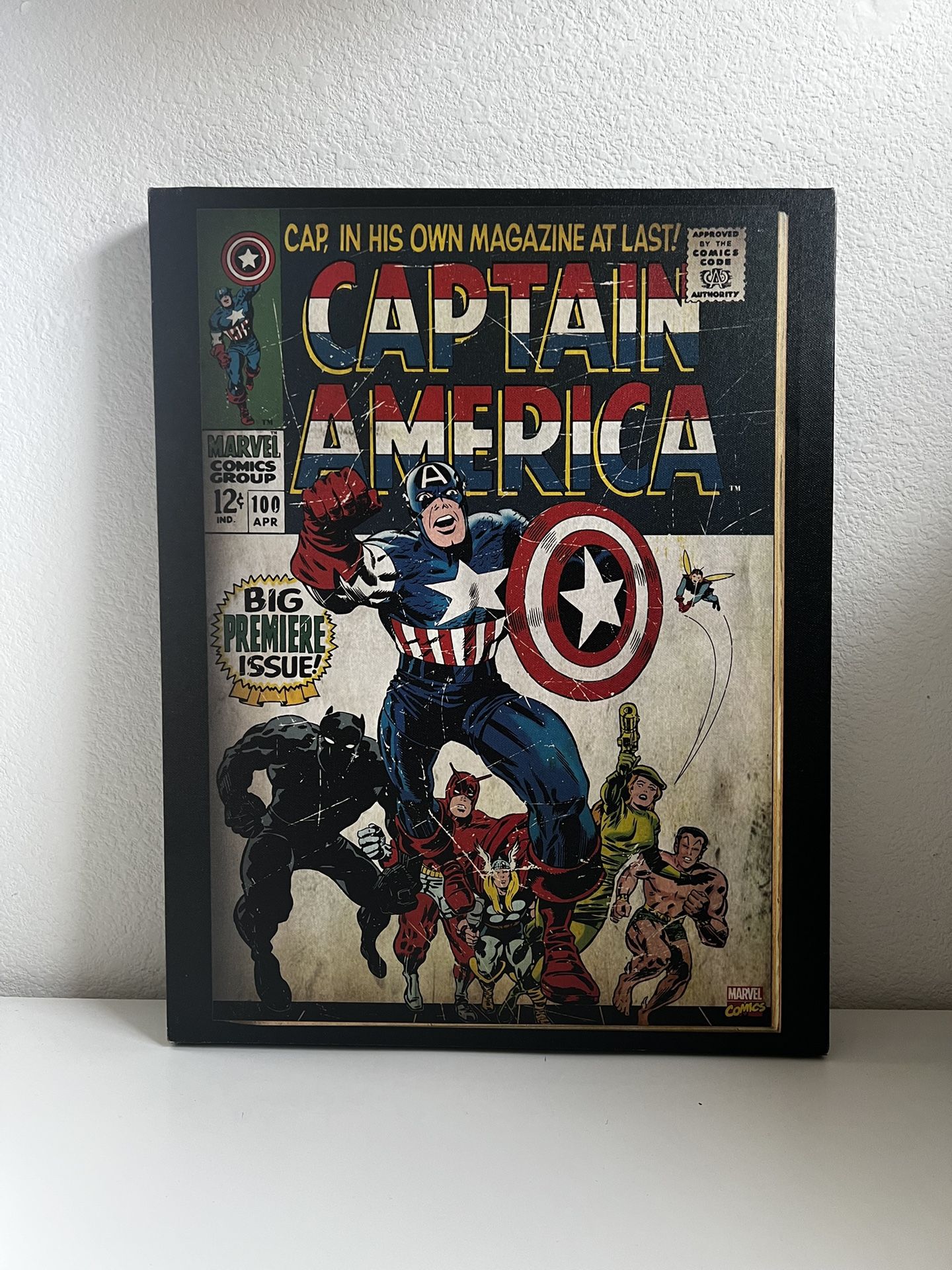 Captain America Canvas Print