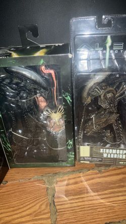 2 alien Xenomorphs