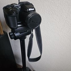 New With Stand