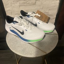 Brand new Nike Running Shoes.  Men’s size 10 - never worn