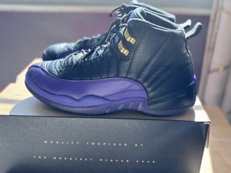 Air Jordan Retro 12 Black & Purple Size 10.5