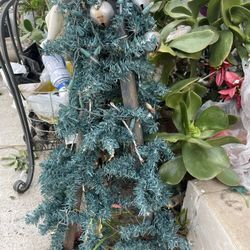 Christmas Tree Yard Decoration 