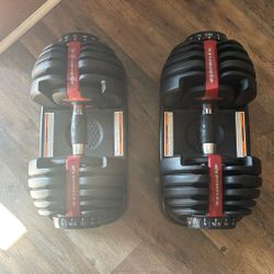 Bowflex Adjustable Weights 