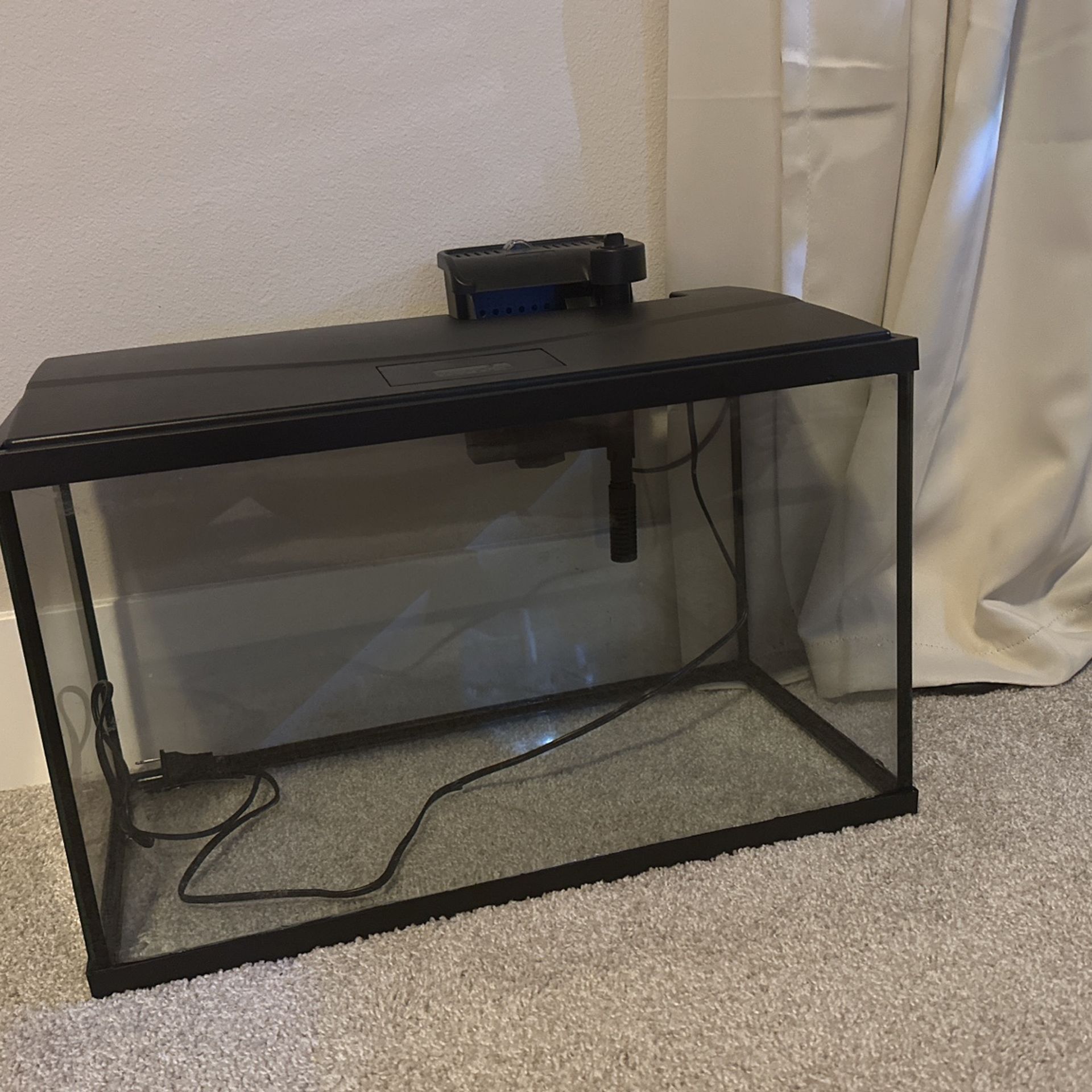 10 gallon aquarium