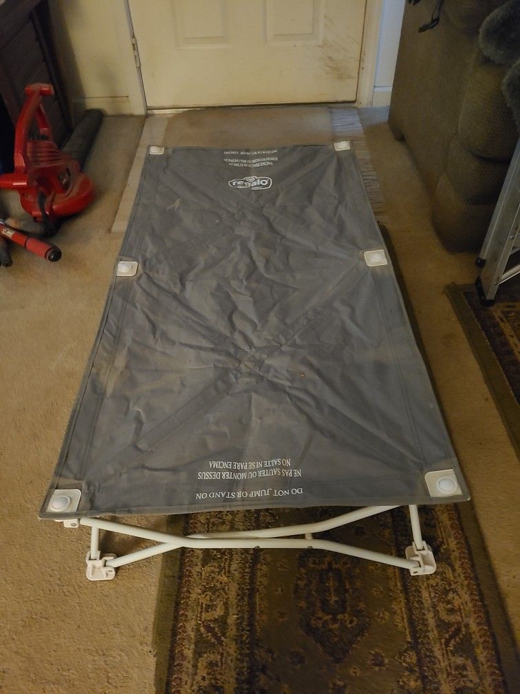 Fold Out Dog Lounger or for whatever