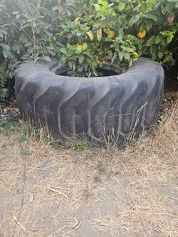 Free workout tire
