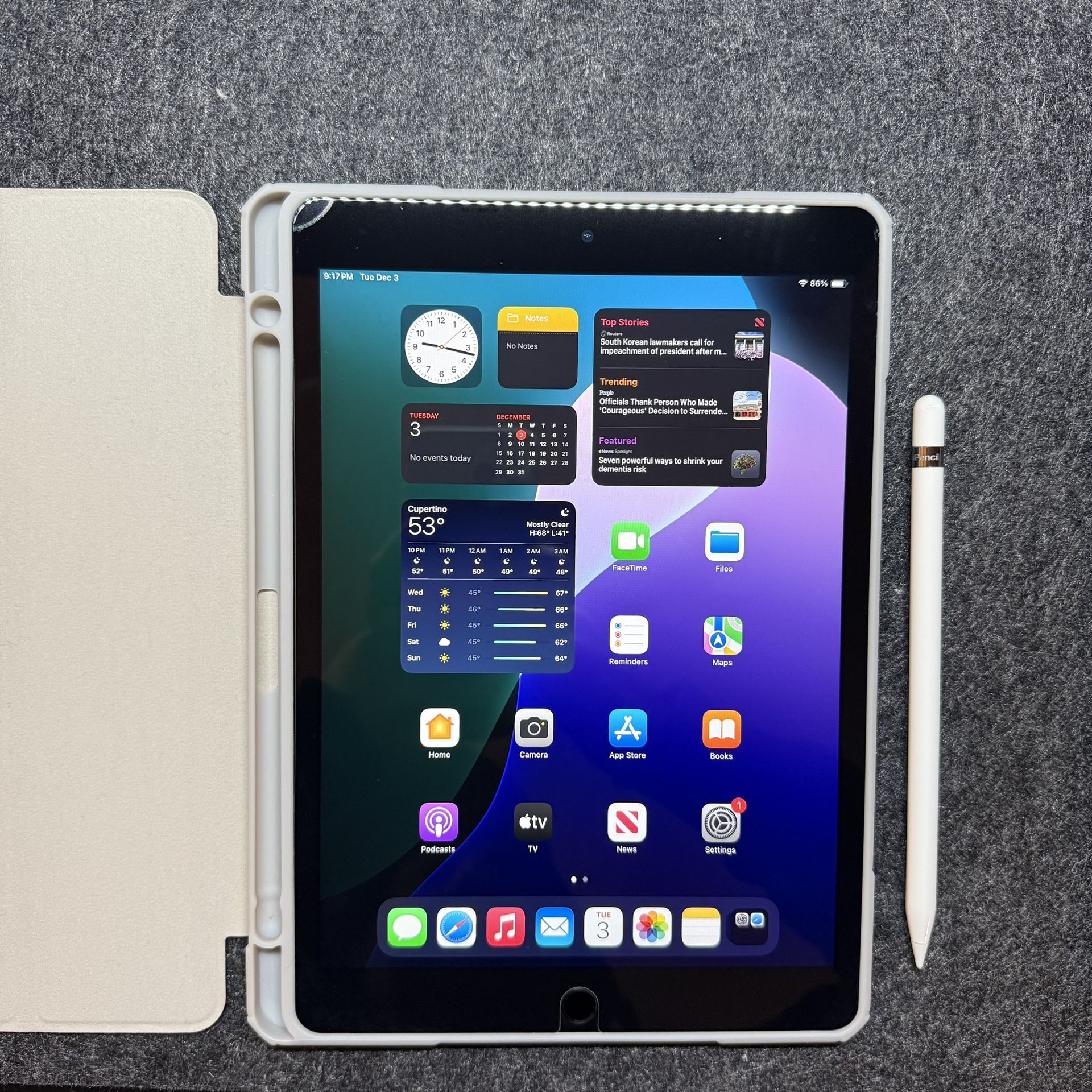 Like New Apple iPad 9th Generation 256gb With Case Temper Glass - Main Image