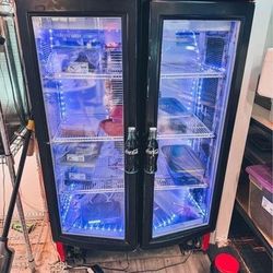 Converted Reptile Egg Incubator with LED Lights