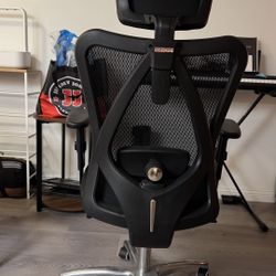Sihoo Ergonomic Desk Chair