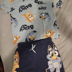 bluey outfit