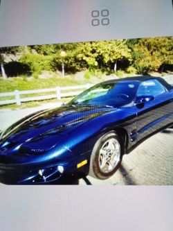 2002 Pontiac Firebird Convertible