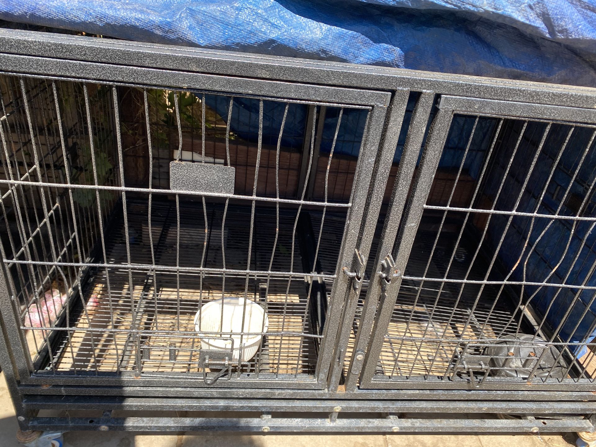 Dog Cage