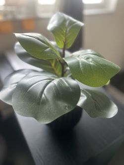 Black Base With Artificial Plant 