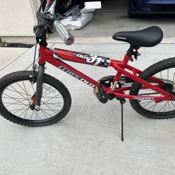 Wipeout 20 Inch Bike