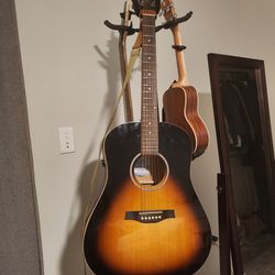 Acoustic Guitar Seagul s6
