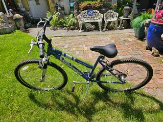 Scwinn bicycle