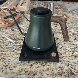 Intasting Gooseneck Electric Kettle