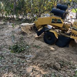 stump grinding 