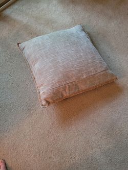 2 couch pillows $65.00 obo