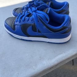 Nike Dunks Men Shoes Size 10 $45