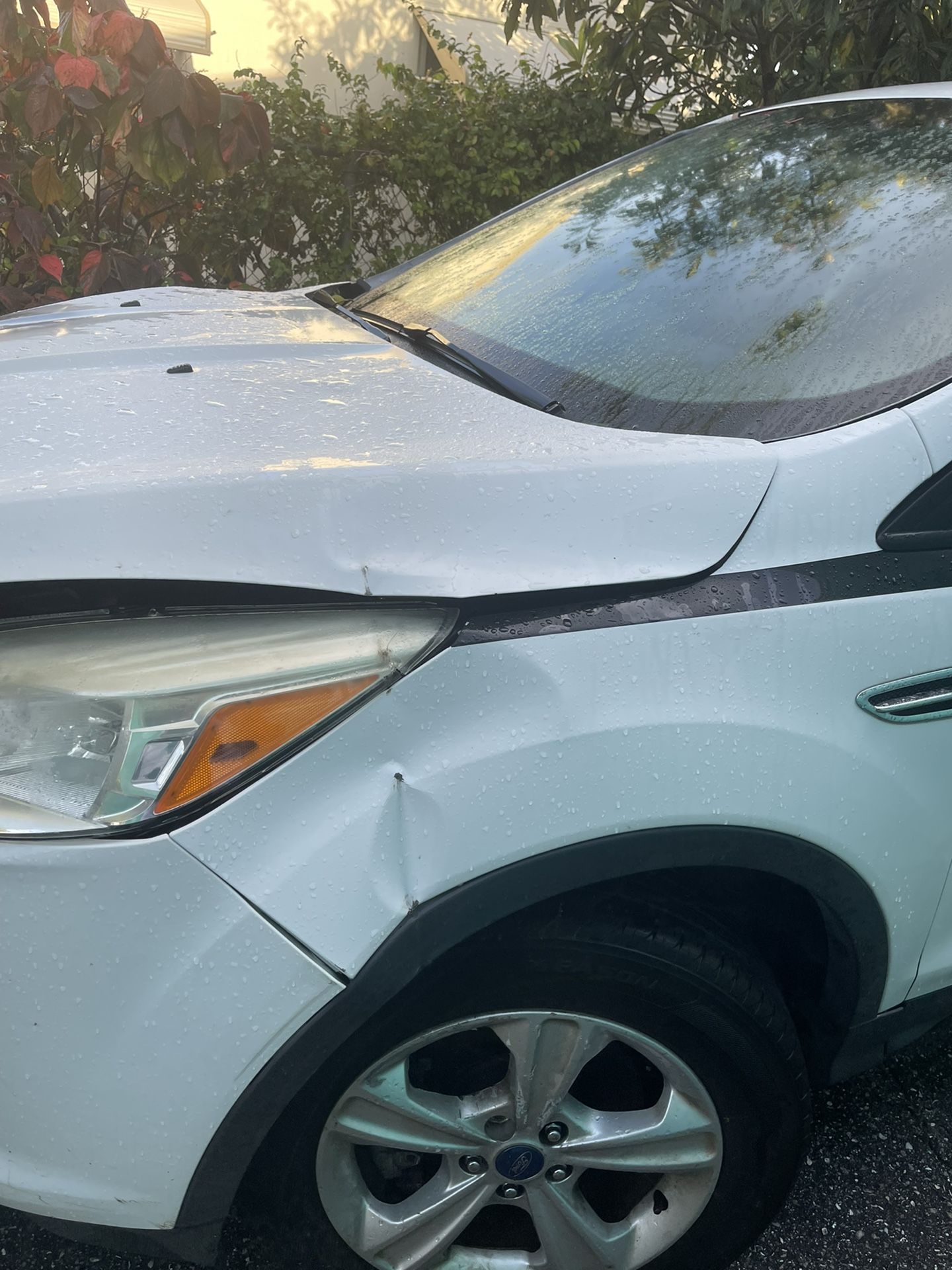 Car For Sale Parts Only 2014 Ford Escape Title Clear  Price Negetoabke