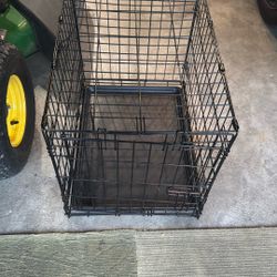 Dog Kennel