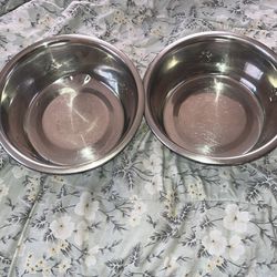 Two Dog Bowls 