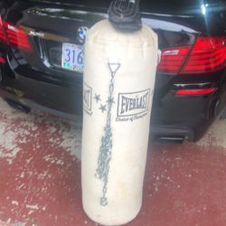 Everlast bag Brand New And Gloves 