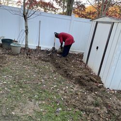 Stump Grinder 