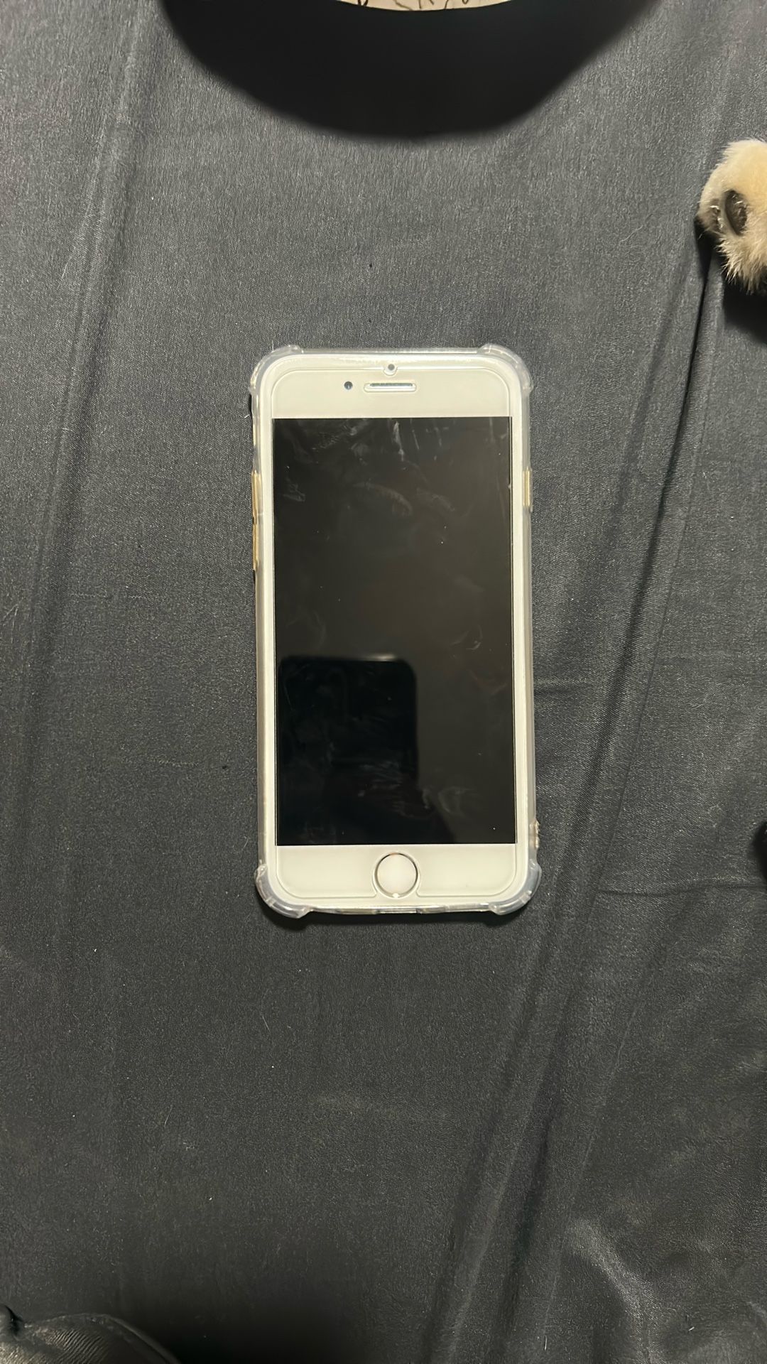 iPhone 6