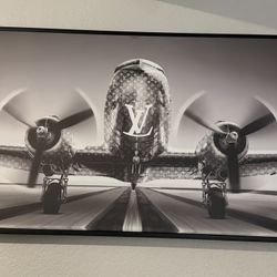 LV  Plane Canvas In Frame 