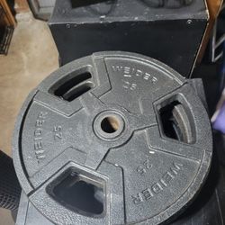 25lbs Weights 1inch Hole