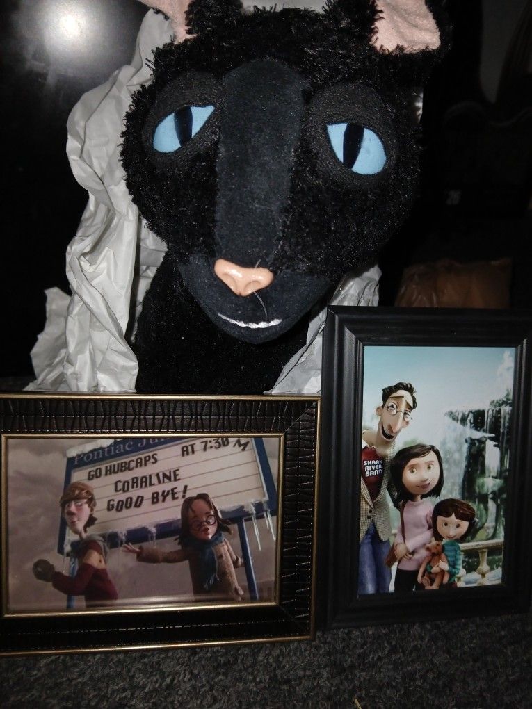 Coraline Cat Bundle