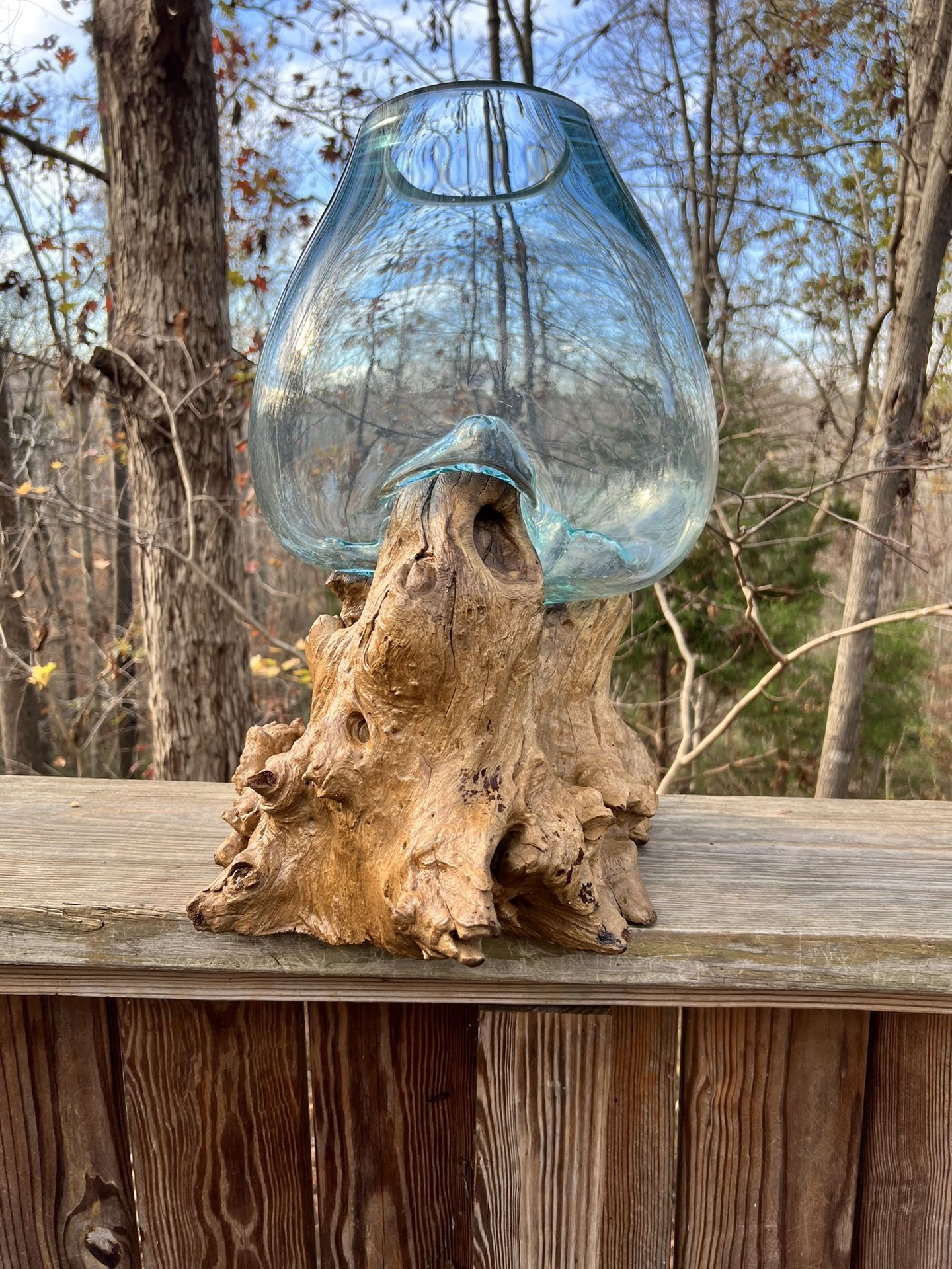 Large fishbowl Driftwood handblown