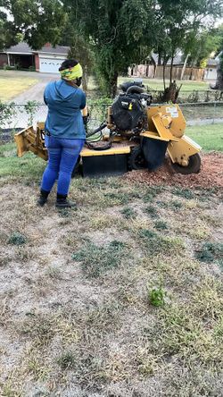 Stump Removal 