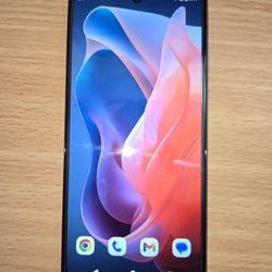 Boost Mobile Moto G Play