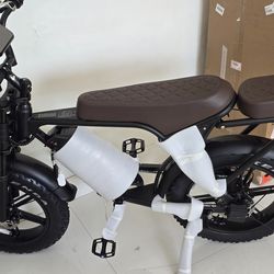 Electric Bike 31MPH Dual Seater