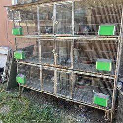 2 Pigeon Cages