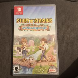 Story Of Seasons A wonderful life