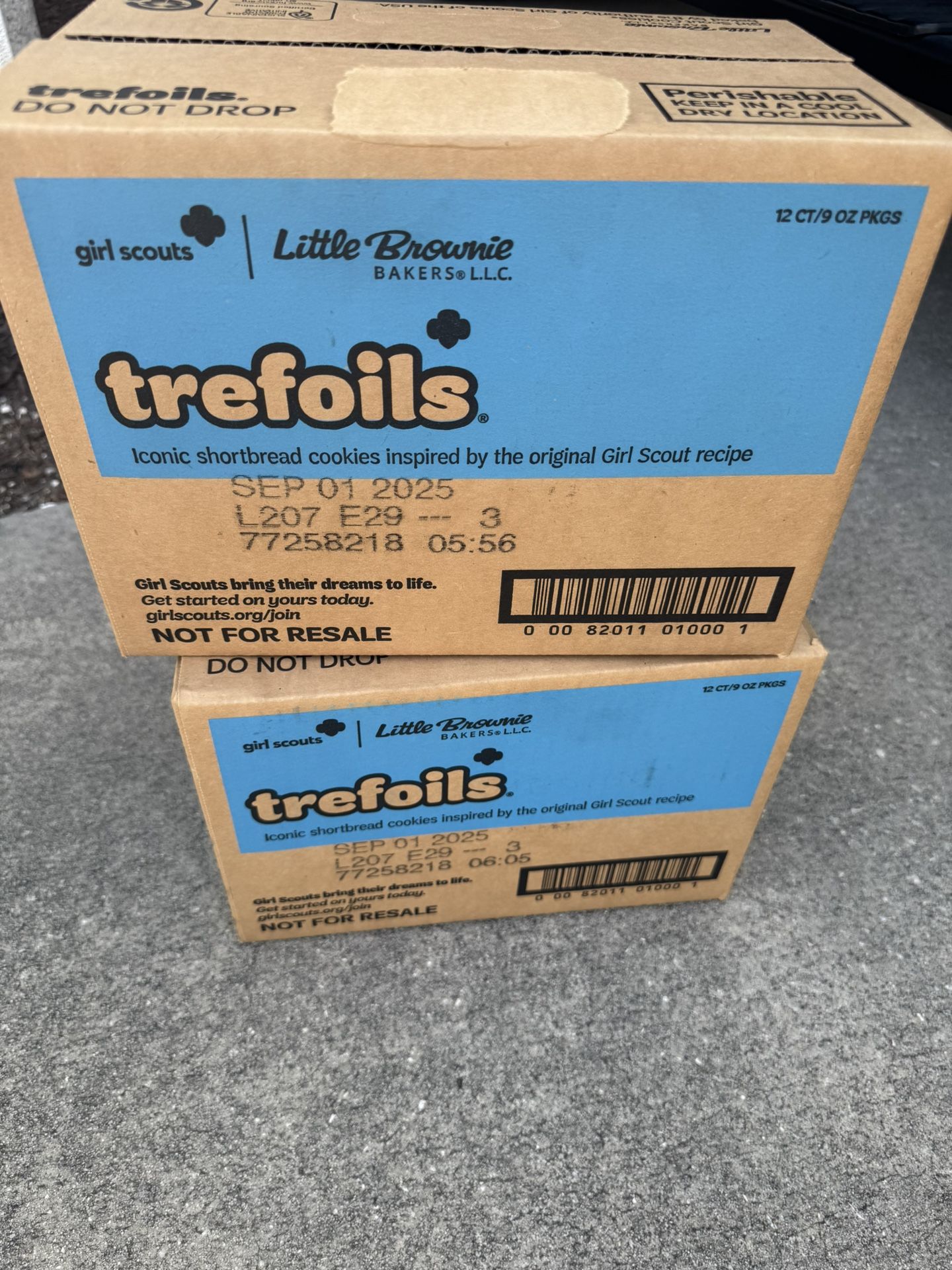 Case Of 12 Ea Box Of “Trefoils”